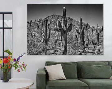 Landschaft in Arizona schwarz-weiß  von Melanie Viola