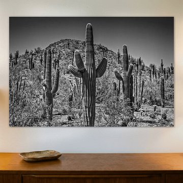 Landschap in Arizona zwart-wit van Melanie Viola