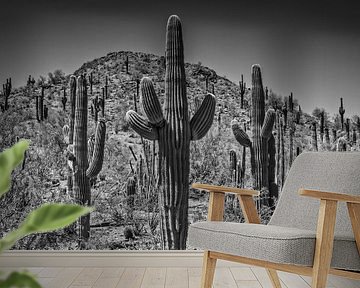 Landschap in Arizona zwart-wit van Melanie Viola