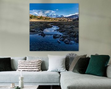 Ova da Buffalora, Torbierra Jufplaun, Ofenpass, Tschierv, Graubünden, Engadin, Switzerland by Rene van der Meer