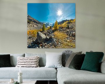 Morteratsch glacier, Pontresina, Grisons, Engadine, Switzerland by Rene van der Meer