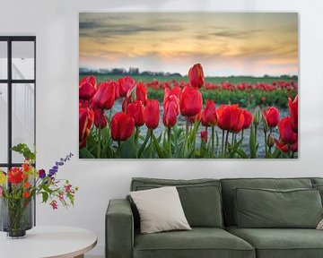 Prachtig rood tulpenveld in Friesland van Goffe Jensma