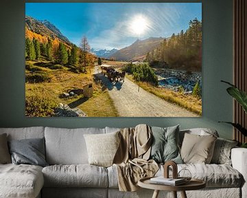 Horse-drawn carriage in the Roseg valley, Pontresina, Graubünden, Engadine, Switzerland, by Rene van der Meer