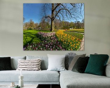Bloembollen tuin en park De Keukenhof, Lisse, , Zuid-Holland, Nederland