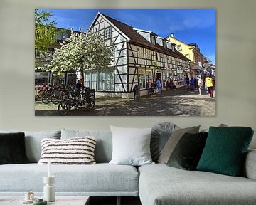 Vakwerkhuis met bloeiende boom