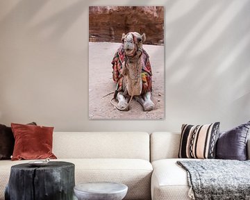 Versierde kameel in Petra, Jordanië van CHI's Fotografie