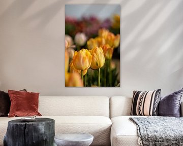 Gele tulpen met vleugje oranje. van Renate Pit - du Pont