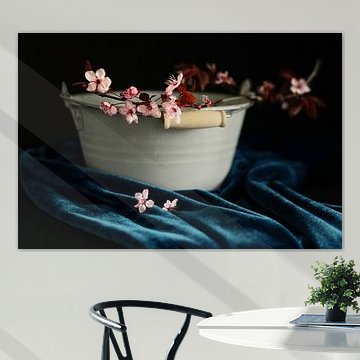 Stilleben Kirschblüte in Zinkwanne | Fine-art photography