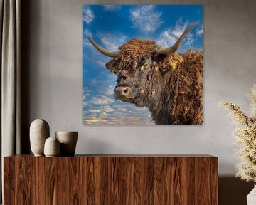 Scottish highlander by Frans Van der Kuil