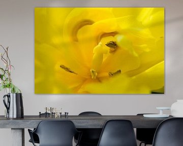 Das Innere einer gelben Tulpe von Gerard de Zwaan