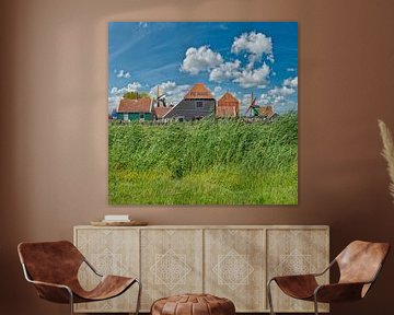 Cheese farm Zaanse Schans, Zaandam, , North Holland, Netherlands, by Rene van der Meer