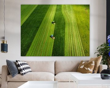 Two tractors mow the first cut of the year by Nico van Maaswaal