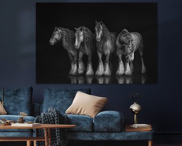 Quatre portraits du même cheval en noir et blanc | photographie de cheval sur Laura Dijkslag