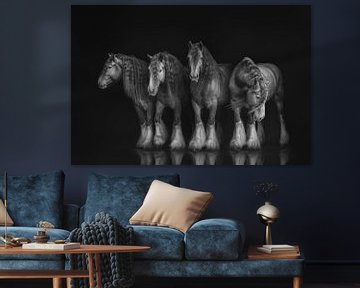 Vier portretten van hetzelfde paard in zwart wit | horse photography van Laura Dijkslag