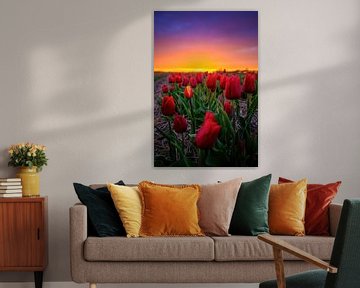 Tulpen tijdens zonsondergang. van Justin Sinner Pictures ( Fotograaf op Texel)