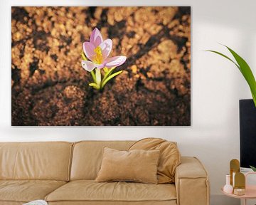 Krokusbloem met delicate bloemblaadjes. Filigraan bloem, gedetailleerd van Martin Köbsch