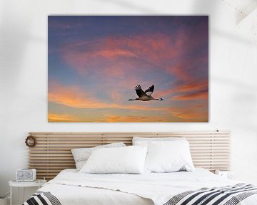 Les grues volent dans le ciel