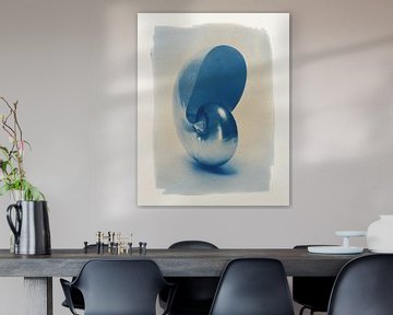 Nautilus en cyanotype sur Willie Jan Bons