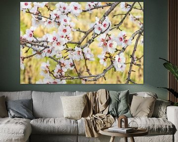 Almond blossom a la van Gogh by Hanneke Luit