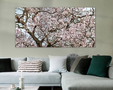 Amandelboom in bloei van Hanneke Luit