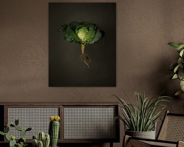 Seasonal vegetables - Savoy cabbage from outdoors by Mariska Vereijken