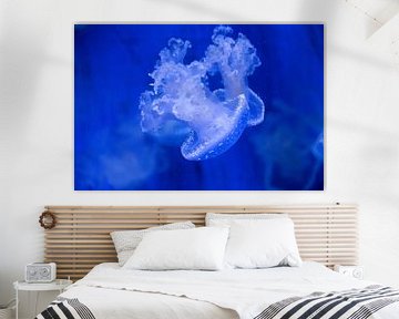 Calming jellyfish by Tim Smit