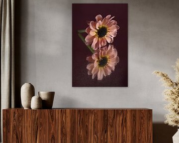 Fleur rose et son image miroir sur Marjolijn van den Berg