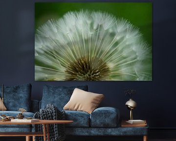 Dandelion Puffball Fan by Iris Holzer Richardson