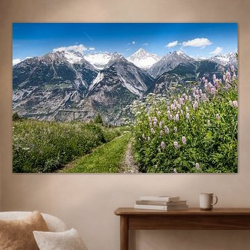 Bietschhorn mit Blumen im Vordergrund