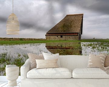 Spiegeling schapen boet Hogeberg gebied Texel van Ronald Timmer