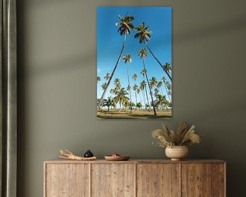 Palmbomen in Moorea, Frans-Polynesië