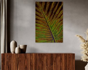 Alienation arrow leaf by Dieter Walther