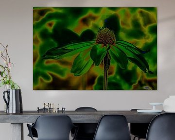 Abstraction Flower Coneflower by Dieter Walther