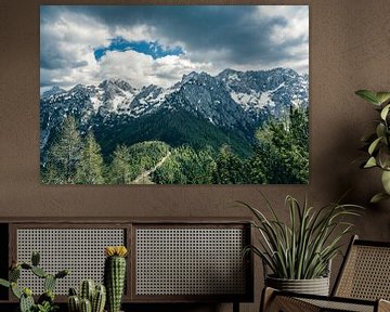 Vue sur la chaîne de montagnes Grintovec depuis Goli vrh sur Sjoerd van der Wal Photographie