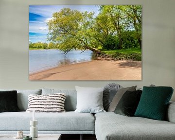 Het  strandje, de rivier en de boom. van Jurjen Jan Snikkenburg