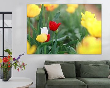 Een veld vol kleurrijke tulpen in rood, geel en oranje creëert een lenteachtige sfeer van Thomas Heitz