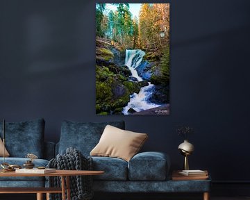 Triberg waterfall by Hans-Bernd Lichtblau