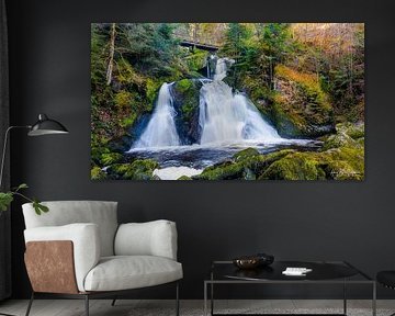 Triberg waterfall by Hans-Bernd Lichtblau