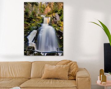 Triberg waterfall by Hans-Bernd Lichtblau