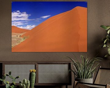 Dunes of Namibia by W. Woyke