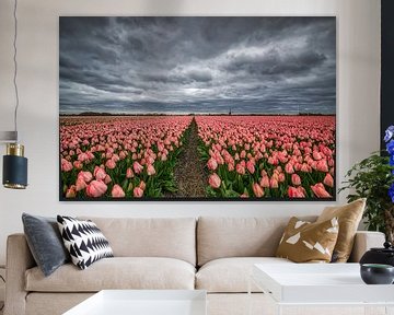 Roze tulpen met molen en donkere wolken van peterheinspictures