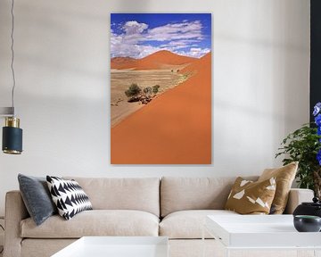 Dunes of Namibia by W. Woyke