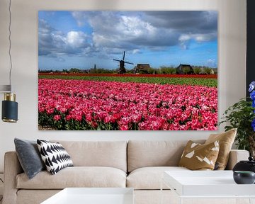 Tulpen veld bij Obdam met Wipmolen van René Groeneveld