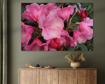 pink flowers van Wendy van Cuijk