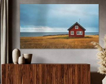 Scandinavische rode huis aan zee panorama van TheXclusive Art