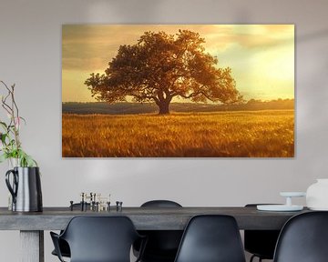 Eenzame eikenboom zonsondergang panorama van TheXclusive Art