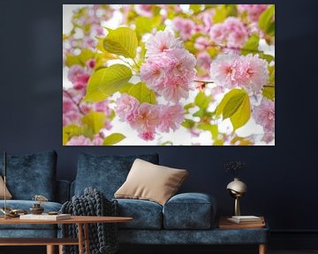 Trossen roze kersenbloesems van Iris Holzer Richardson