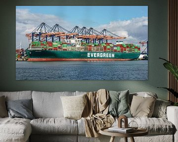 Containerschip Ever Greet van Evergreen. van Jaap van den Berg