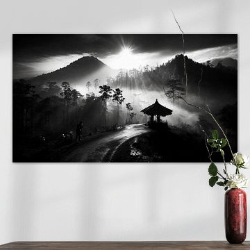 Indonesia Mornings in the forest