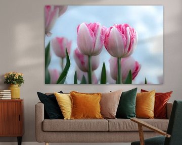 tulpen horen helemaal bij het voorjaar van Ria van den Broeke